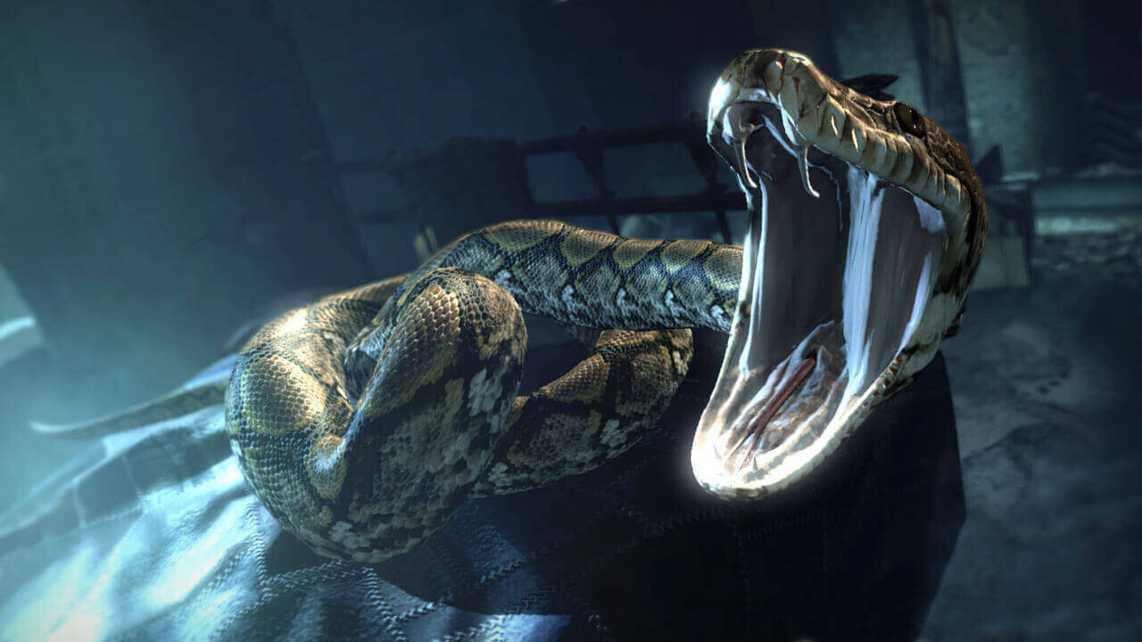 final Horcrux Voldemort created Nagini
